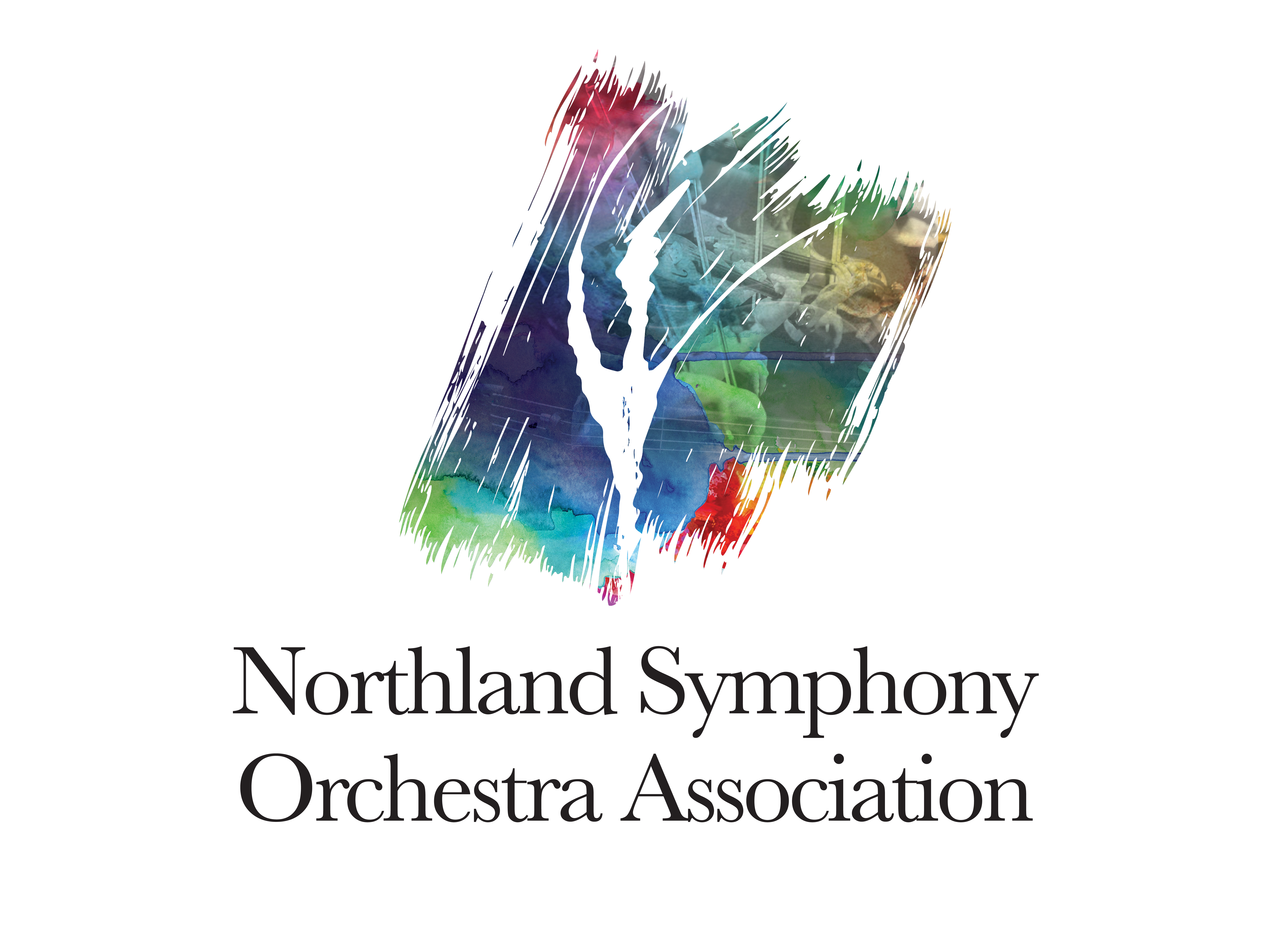 NSOA logo in color