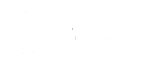 NSOA Logo