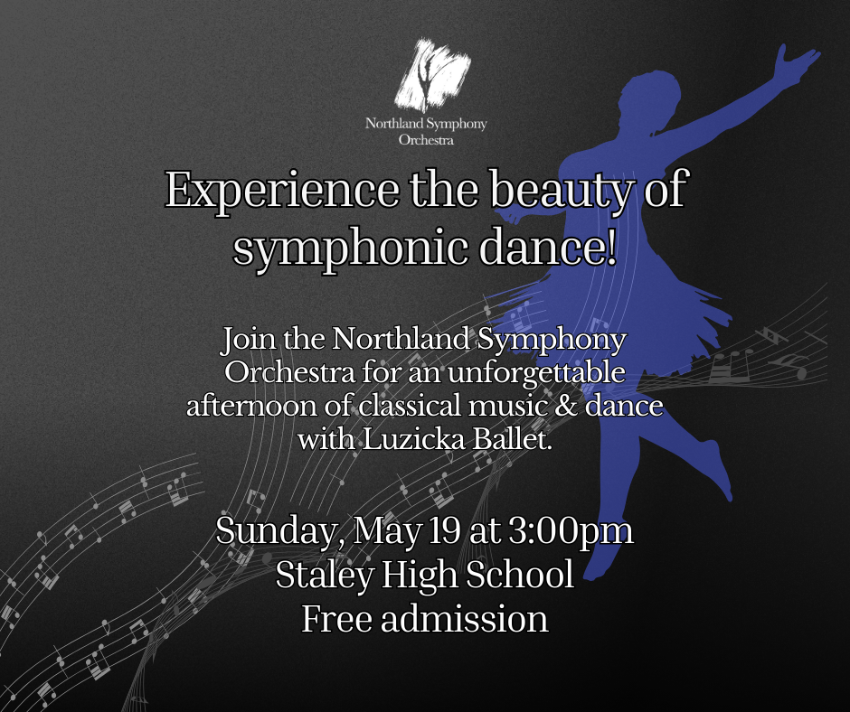 concert 5 poster