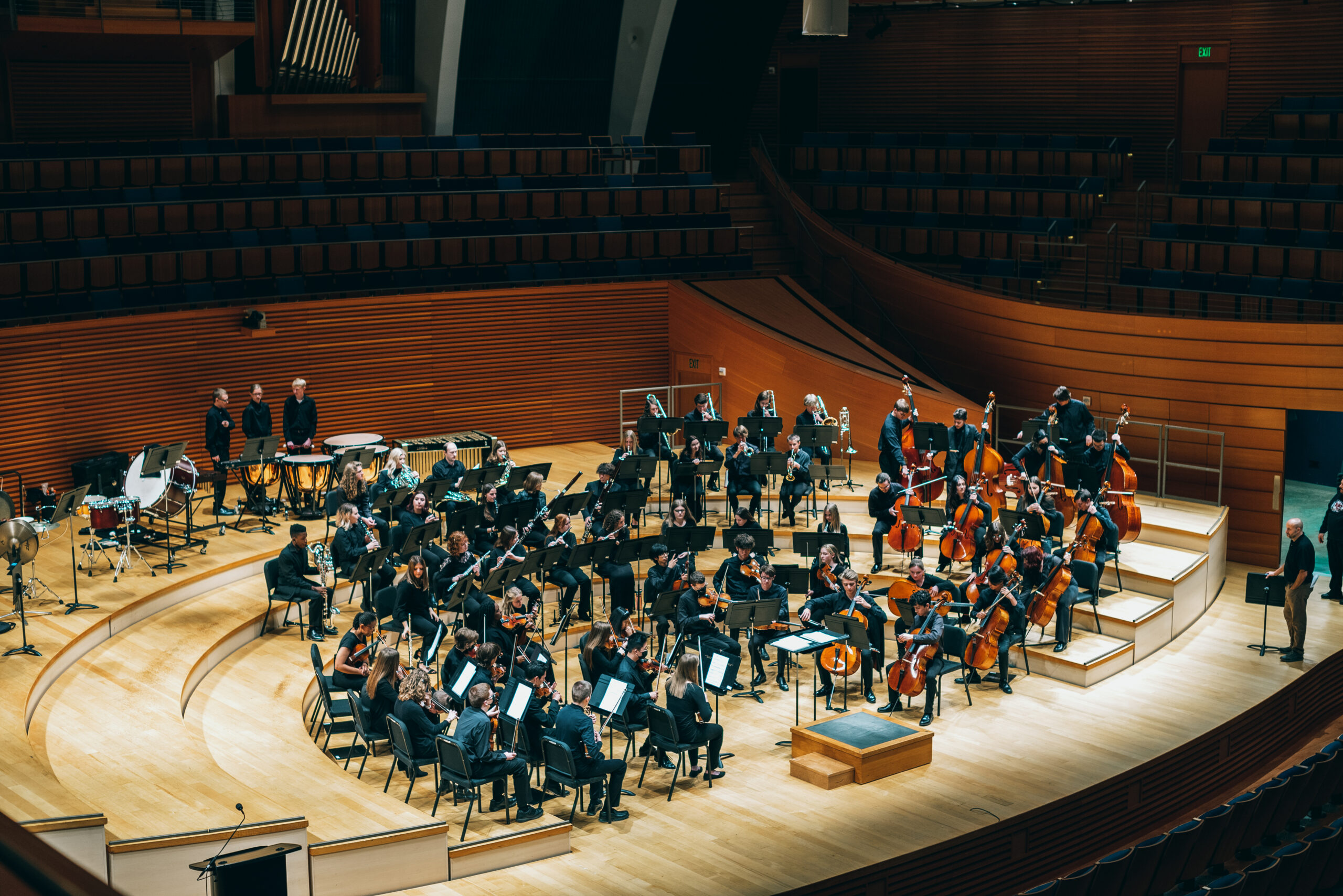 The Youth Orchestra performs